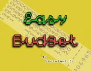 EASY BUDGET - (BY MARCO SQUINTANI)