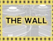THE WALL - (BY LEVIO PEROTTI)
